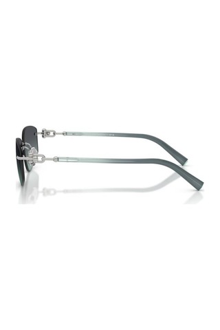 Tiffany & Co. 0tf3114 60012g59 Unisex Güneş Gözlüğü Metalik