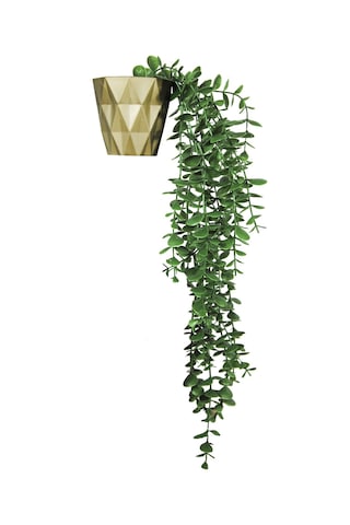 Yapay Çiçek Elmas Gold Saksıda Yeşil Okaliptus Sarkıtı Yeşil