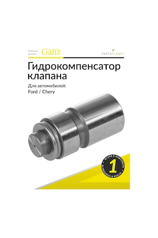 Ganz Ford Fiesta, Escort, Chery Amulet İçin Su Emici Valf 271179666