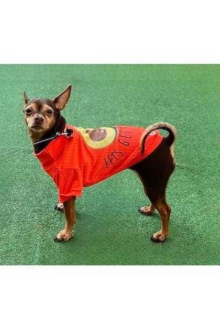 Avocado Neon Turuncu Esnek Küçük Irk Köpek T-shirtü 1 Kg-12 Kg Arasına Uygun Bedenlerde