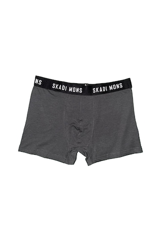 Skadi Mons Basic Erkek Gri Iç Çamaşır 3605020123-003