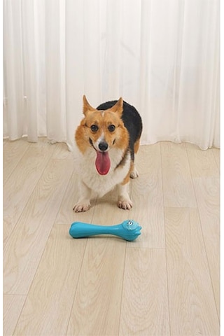M-pets Rob Ödül Hazneli Köpek Oyuncağı Mavi 23,5x6,5x6,5 Cm 244-50083.01