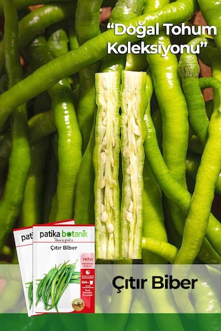 150 Adet Yerli Ata Çıtır Biber Tohumu Sivri, Tatlı