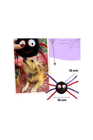 Havhav Halloween Temalı Köpek Oyuncak  Seti