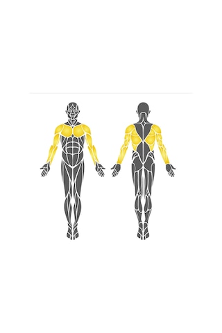 Açık Alan Fitness Aleti Eks05, Kol Ve Omuz Çalıştırma Aleti-208