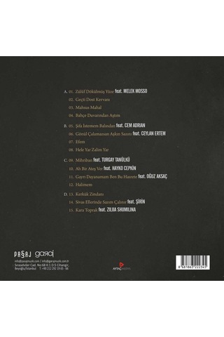 Plak - Haluk Levent - Vasiyet 2Lp