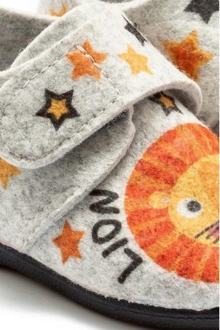 Tw Lion 2 24/30 Çok Renkli