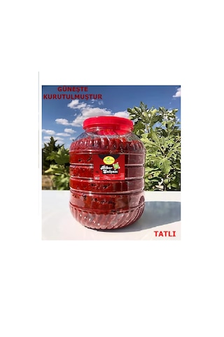 Sina Lokman Hekim Biber Salçası Tatlı 5 KG