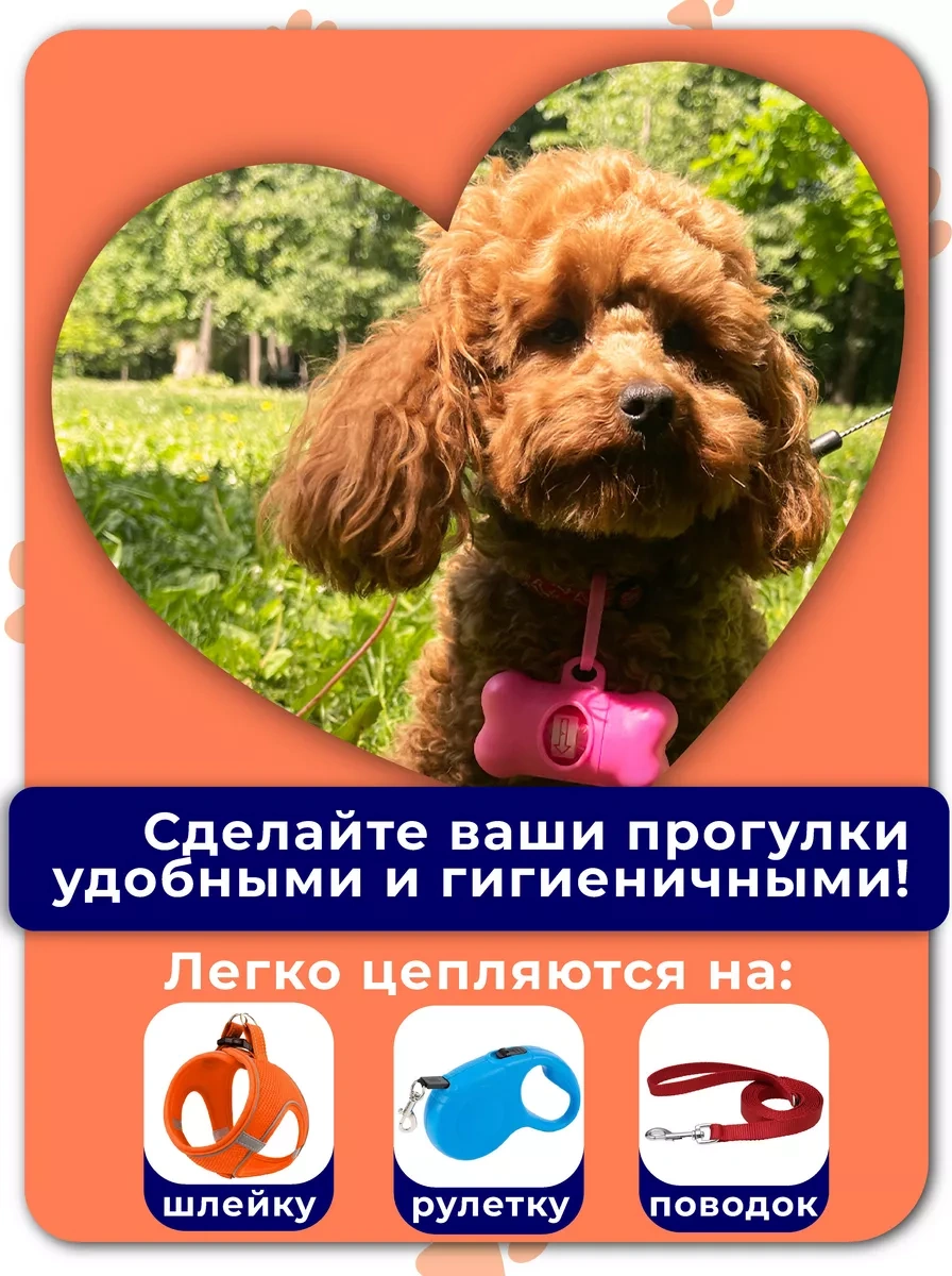 Stepico Yay Yürüyüşü İçin Dispenser Ve Poşetler 180557548