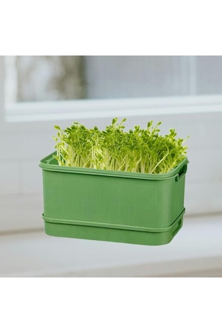 Pazly Tohum Tepesi Suntek Mutfak Maş İçin Filiz Fasulyesi Geniş Fi