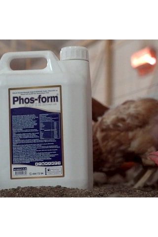 Royal Phos Form Kanatlılarda Gagalama, Amino Asit Desteği İle Gelişim 5 Lt