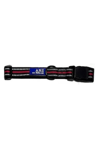 Ans Köpek Boyun Tasması 2.5 CM Genişlik- Boynu 46-55 CM