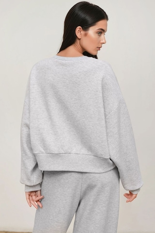 Hiccup Loose Fit Bisiklet Yaka Pamuklu Basic Şardonlu Örme Sweatshirt Gri