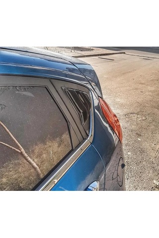 Ford Fiesta Cam Kelebek Izgarası