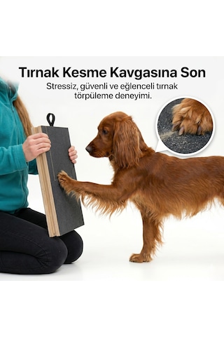 Kedikür Köpekler İçin Tırnak Törpüleyen Tırmalama Ve Eğitim Tahtası