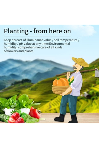 Qingmipy Toprak Ph, Nem, Sıcaklık Ve Işık Ölçer - 4'lü Multifonksiyonel Toprak Analiz Aleti - Pil Dahil Değil