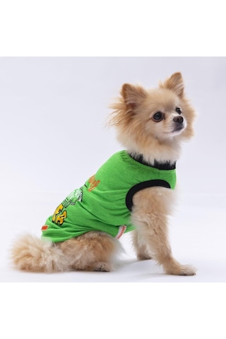 Pawstar Yeşil Travel Kedi Köpek Tişörtü Kıyafeti