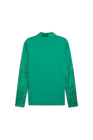 Puma Teamcup Traınıng 1/4 Zıp Top Erkek Futbol Uzun Kollu Antrenman Üstü 65916405 Yeşil