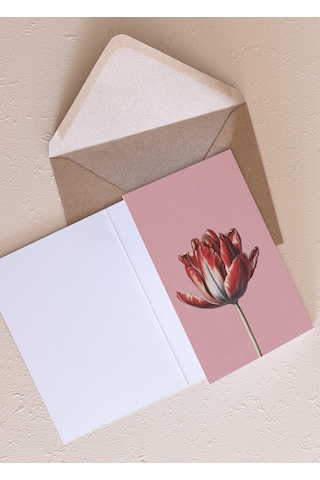 The Mia Art Line Mini Tebrik Kart Seti Tulip10 X 14 Cm