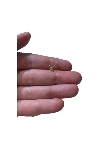 Minimal Kutup Yıldızı Kıkırdak Tragus Helix Pearsıng Küpe 316l Çelik Altın