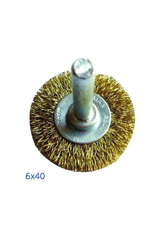 Astor Pimli Daire Fırça 40x6