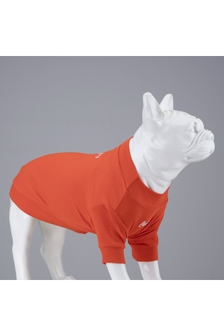 Flex Always Stay Free Küçük Ve Orta Irk Köpek Tshirt