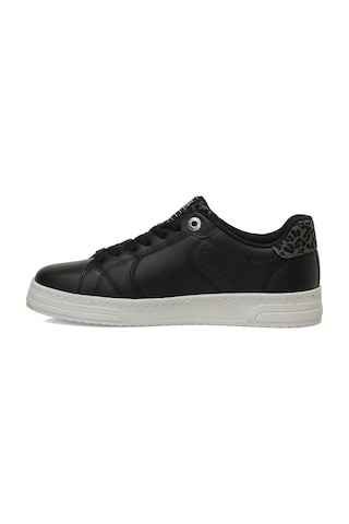 U.s. Polo Assn. Prelo 6fx Siyah Kadın Sneaker 000000000102158183 Siyah