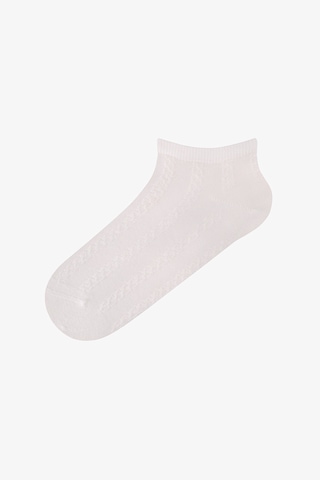 Penti Gri Soft Clouded Jakarlı 5 Çift Patik Çorap Gri Soft Multi