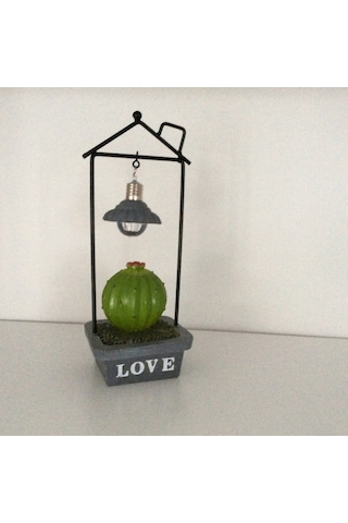 Kaktüs Figürlü Biblo Diğer