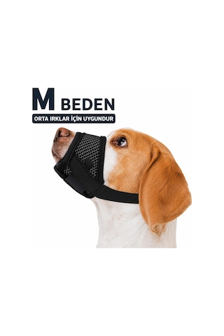 Valkyrie M Beden Köpek Ağızlığı Fileli Nefes Alabilen Ayarlanabilir Cırtlı Güvenli Köpek Ağızlığı