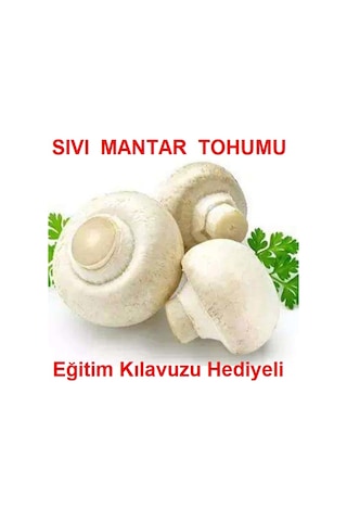100 Ml Beyaz KüLür Mantarı Tohumu