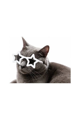 Kedi Gözlük Seti 3 Lü Renk Seçenekli Eğlenceli Kedi Aksesuarı Sert Plastik Tüm Yaşlar