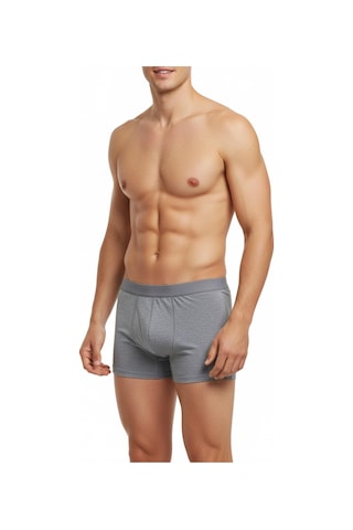 İki Yıldız Erkek Likralı Boxer Düz Renk Bgl-st05007 Gri