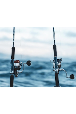 Daiwa Daiwa Certate G 24 Sw 6000h Jig Olta Makinesi