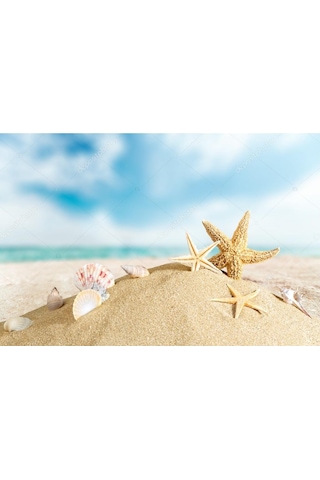 10 Kg Akvaryum Kumu Deniz Kumu Plaj Kumu Oyun Alanı Kumu Akvaryum