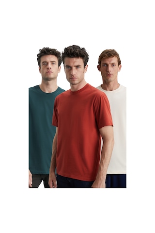 Cultıvated Erkek 3'lü Kalın Dokulu Regular %100 Organik Pamuk Vnly/kyeşil/krmt T-shirt