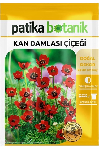 20 Adet Kan Damlası Çiçeği Tohumu