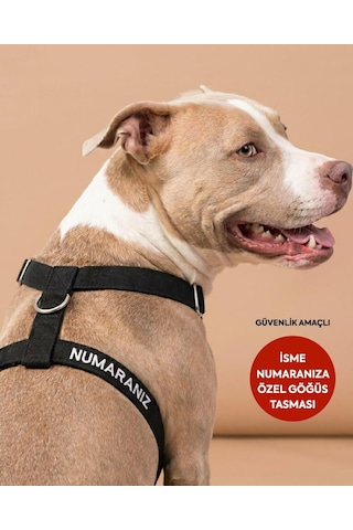 Tr Güvenlik Amaçlı Numaralı İsimli Köpek Göğüs Tasması Kişiye Özel Göğüs Tasması I Küçük Ve Orta Irk Genel