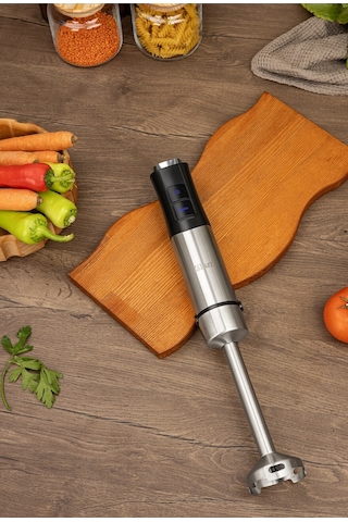 Zilan ZLN3984 1200 W Dikey El Blender