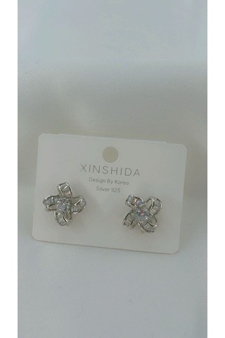 Kadın Fırıldak Model Zirkon Taşlı Küpe Gümüş Renk Gümüş