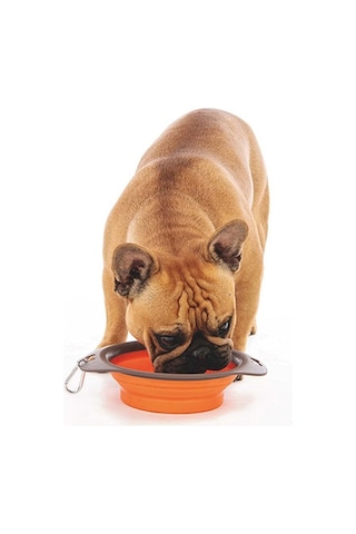 M-pets Kedi Ve Köpekler İçin Katlanır Silikon Mama Ve Su Kabı Turuncu 750 Ml 244-51018.01