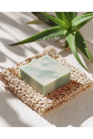 El Yapımı Doğal Argan & Aloe Vera Sabunu 1 Adet 100gr Yoğun Nemlendirici, Besleyici Ve Onarıcı Bakım Argan Yağı El Yapımı Doğal Argan & Aloe Vera Sabunu 1 Adet 100gr Yoğun Nemlendirici, Besleyici Ve Onarıcı Bakım Argan Yağı