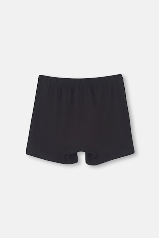 Dagi 1220 Erkek 2'li %100 Pamuk Penye Boxer-siyah Siyah