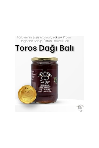 Toros Dağı Kestane Balı 860 G
