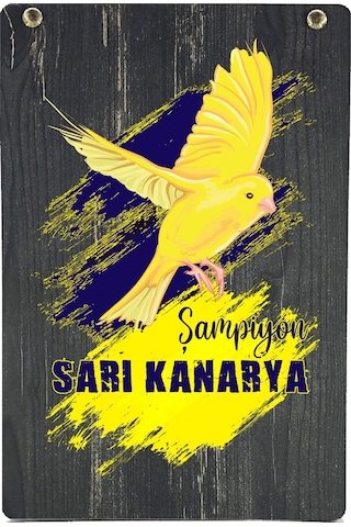 Fenerium Fenerbahçe Antrenman Kişiye Özel Çocuk T-shirt Kutulu 001