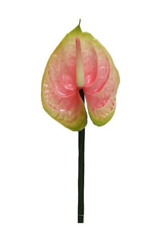 Yapay Antoryum Çiçeği Canlı Dokunuş Pembe 40 Cm-9975