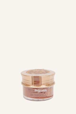 Defacto Skinfood Salmon Concealer Dolgunlaştırıcı I0300AXNS