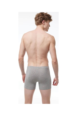Malabadi 073 Erkek Likralı Uzun Boxer-Gri
