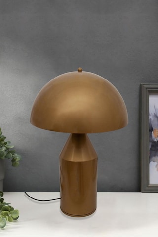 Mantar Abajur Eskitme Eskitme