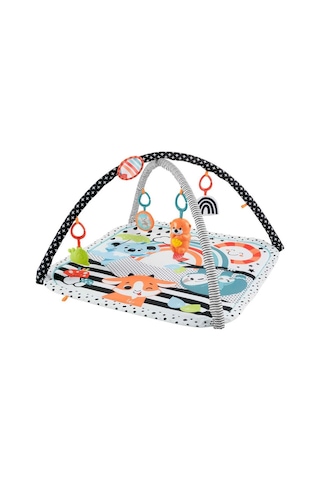 Hbp41 Fisher-price Neşeli Hayvanlar 3ü1 Arada Jimnastik Merkezi